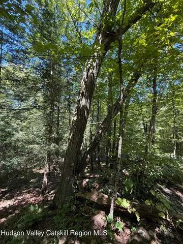 $99,000 | 399 Floyd Ackert Road, West Park, NY 12493