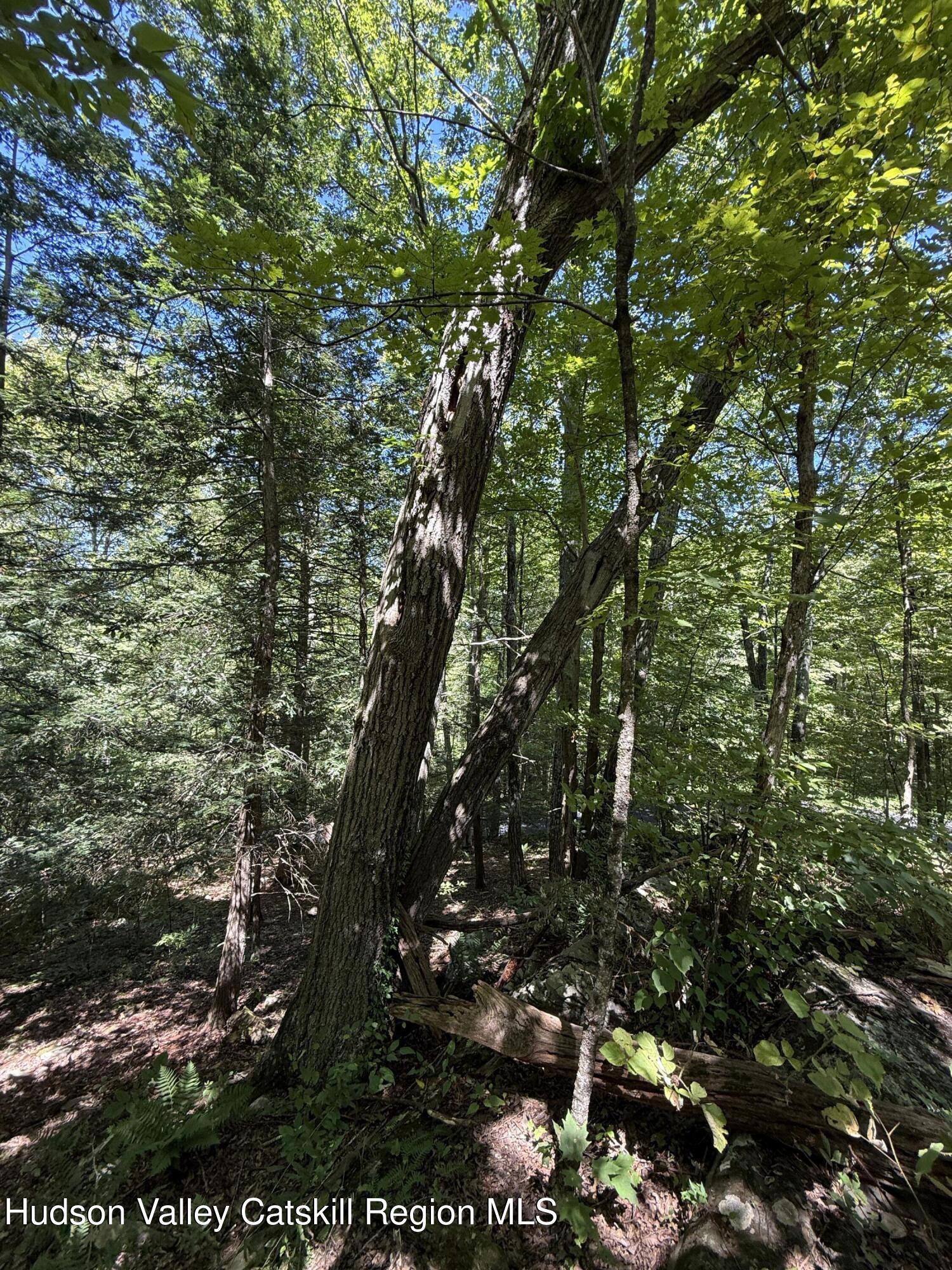 399 Floyd Ackert Road West Park, NY 12493 - Photo 8 of 30