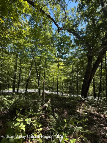 $99,000 | 399 Floyd Ackert Road, West Park, NY 12493