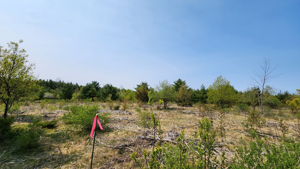 Lot 4 Wandering Down Road Fish Creek, WI 54212 - Photo 4 of 11