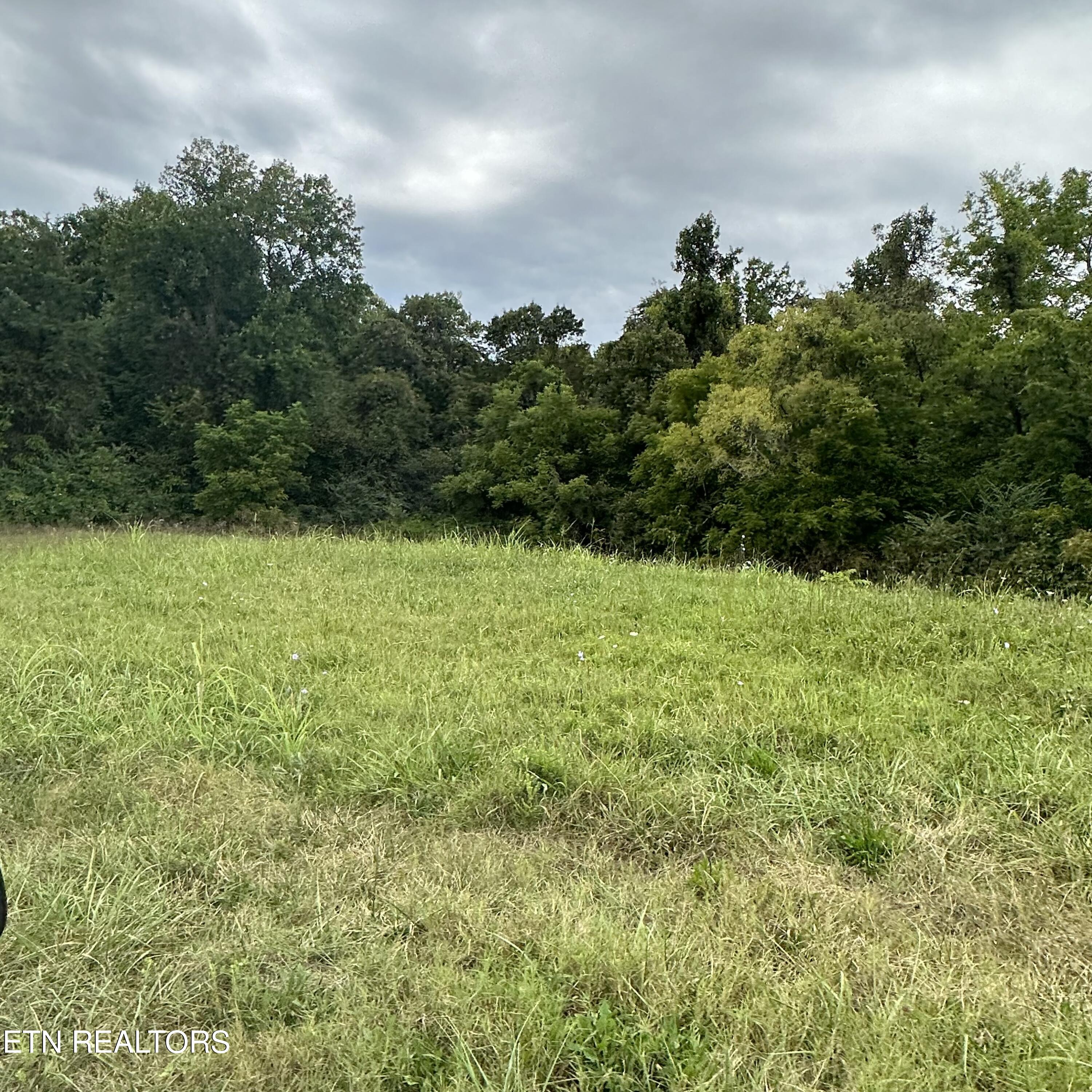 Bob Wright Road Maynardville, TN 37807 - Photo 8 of 9 lot 43 of 6