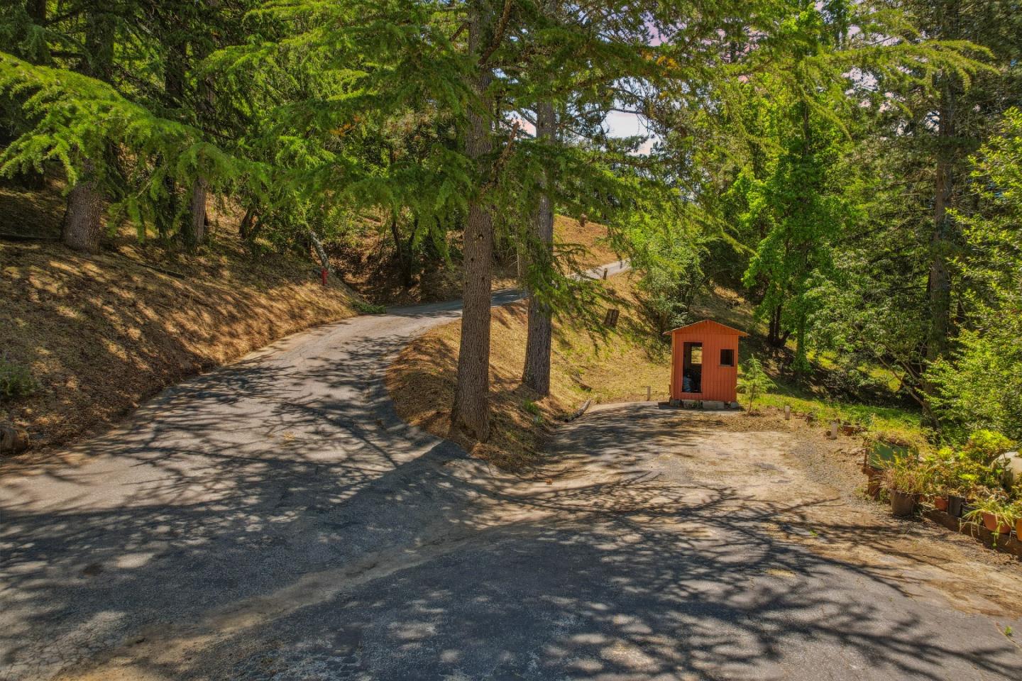 24895 Skyland Road Los Gatos, CA 95033 - Photo 91 of 113 a view of a yard with plants and trees