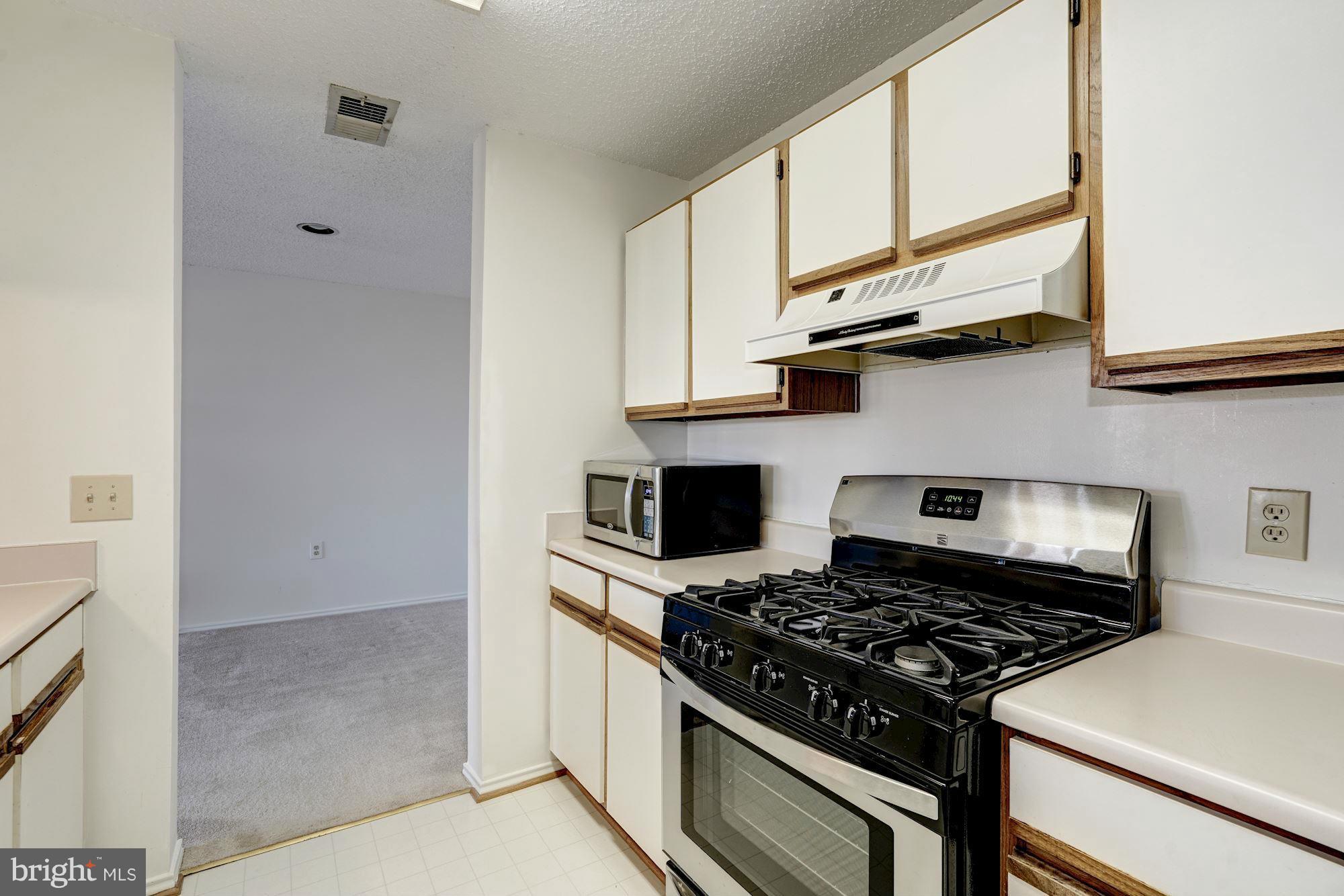 20951 Timber Ridge Terrace, Unit 302 Ashburn, VA 20147 - Photo 10 of 23 Kitchen