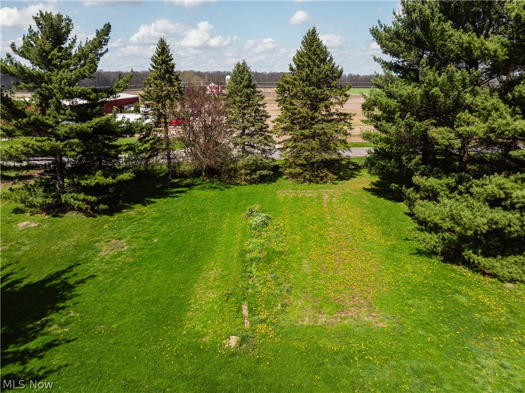 2483 Steiner Road Creston, OH 44217 - Photo 5 of 45