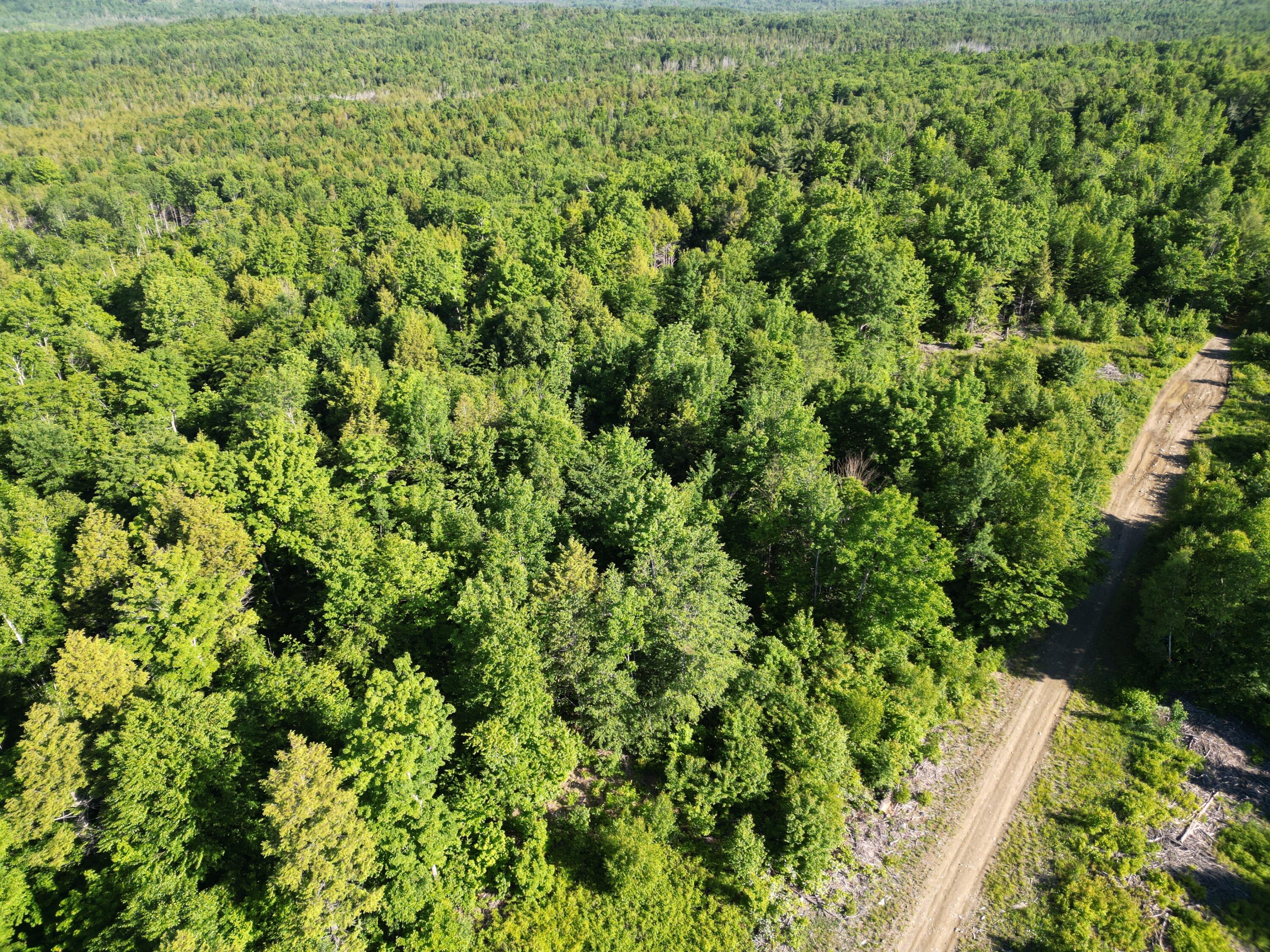 Lot 2 Bear Lane Springfield, ME 04487 - Photo 12 of 16 DJI_0734
