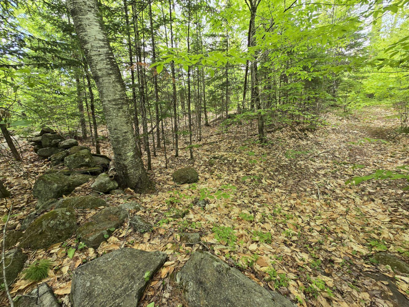 Lot 10 Staples Pond Road Temple, ME 04984 - Photo 13 of 56 20260528_130620_result
