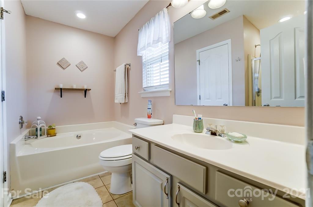 7034 Blithe Low Place Charlotte, NC 28273 - Photo 17 of 31 a bathroom with a sink a toilet and a large mirror