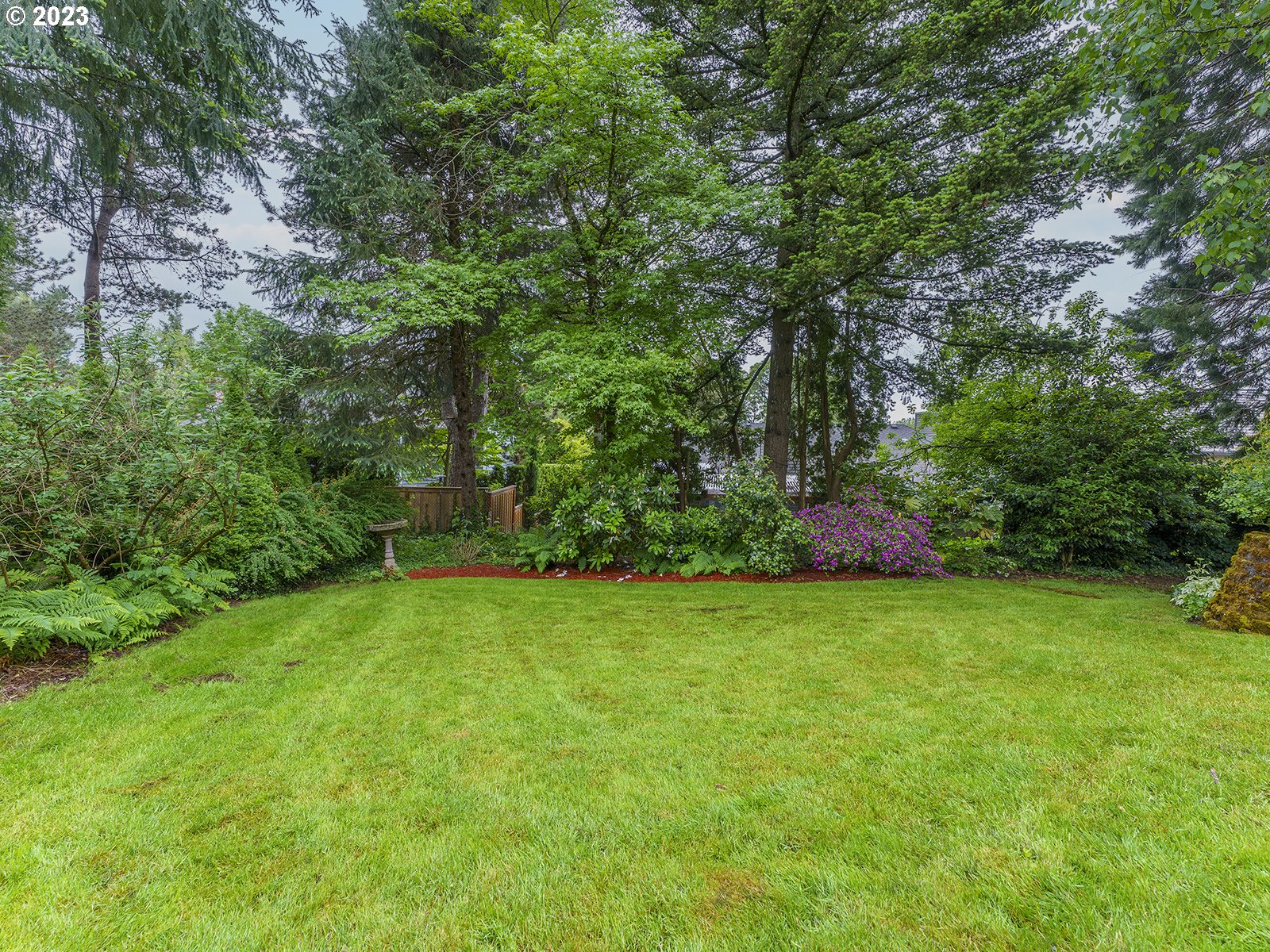 2828 Southwest Sunset Boulevard Portland, OR 97239 - Photo 26 of 32 a view of a trees in a yard