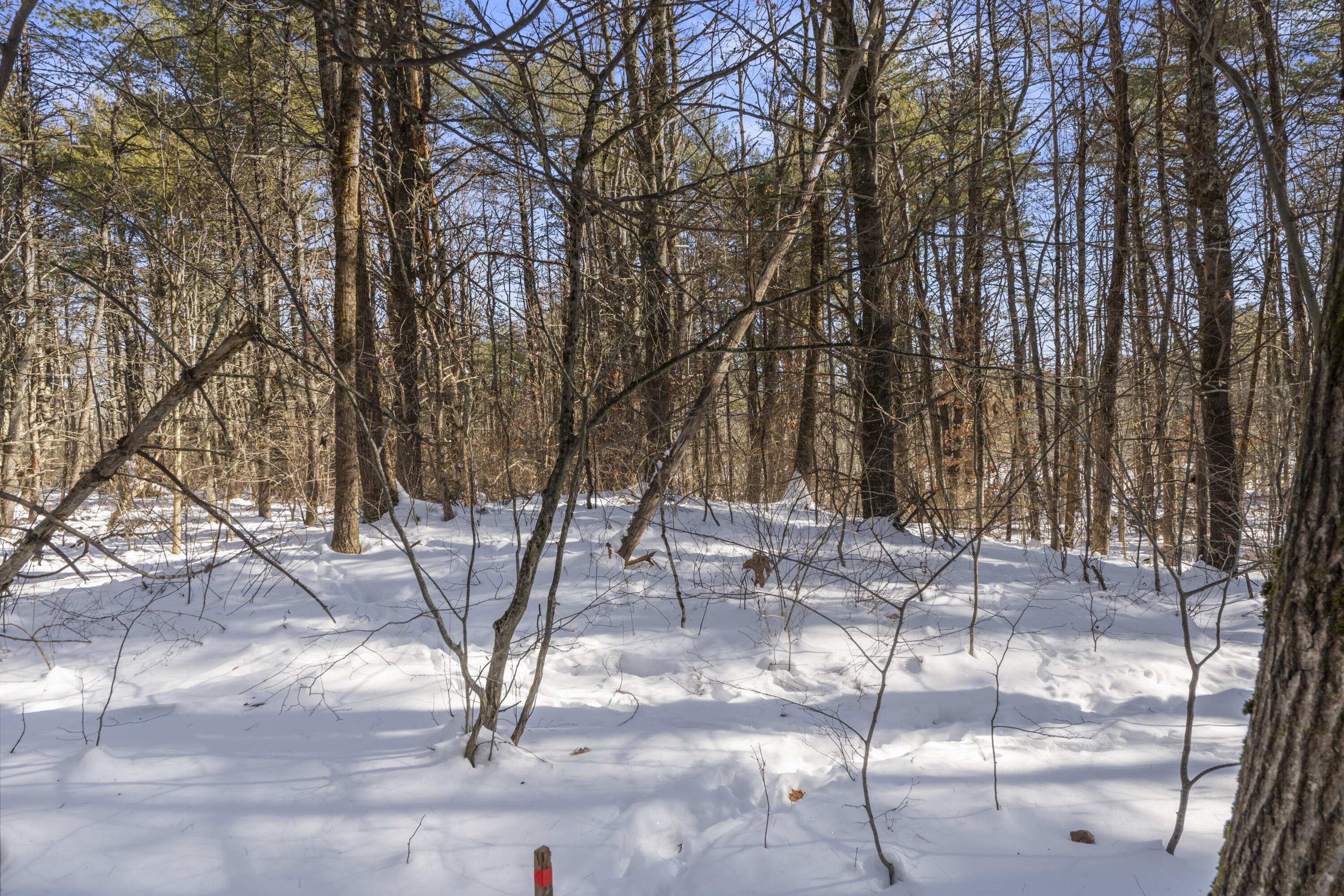 1594 Tatnic Road, Unit LOT A Wells, ME 04090 - Photo 2 of 13 1594 Tatnic Rd, Lot A, Wells