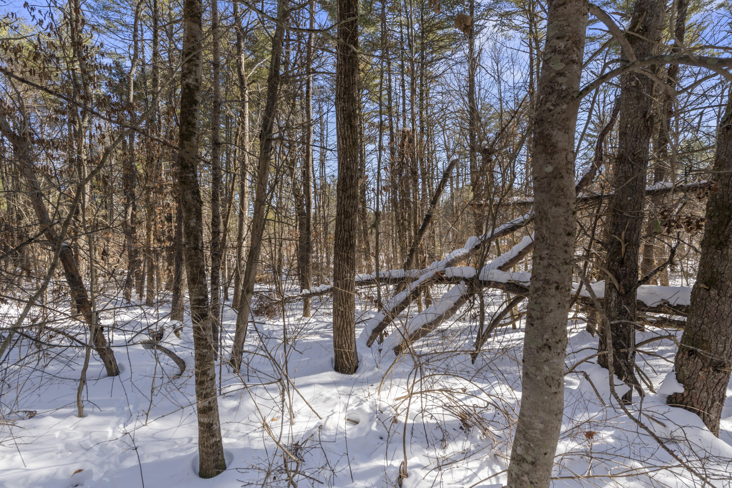 1594 Tatnic Road, Unit LOT A Wells, ME 04090 - Photo 6 of 13 1594 Tatnic Rd, Lot A, Wells