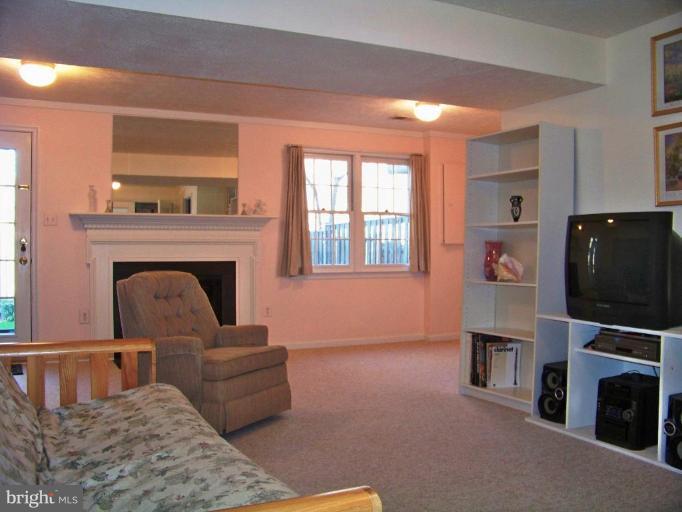 2276 Cartbridge Road Falls Church, VA 22043 - Photo 12 of 16 Recreation Room