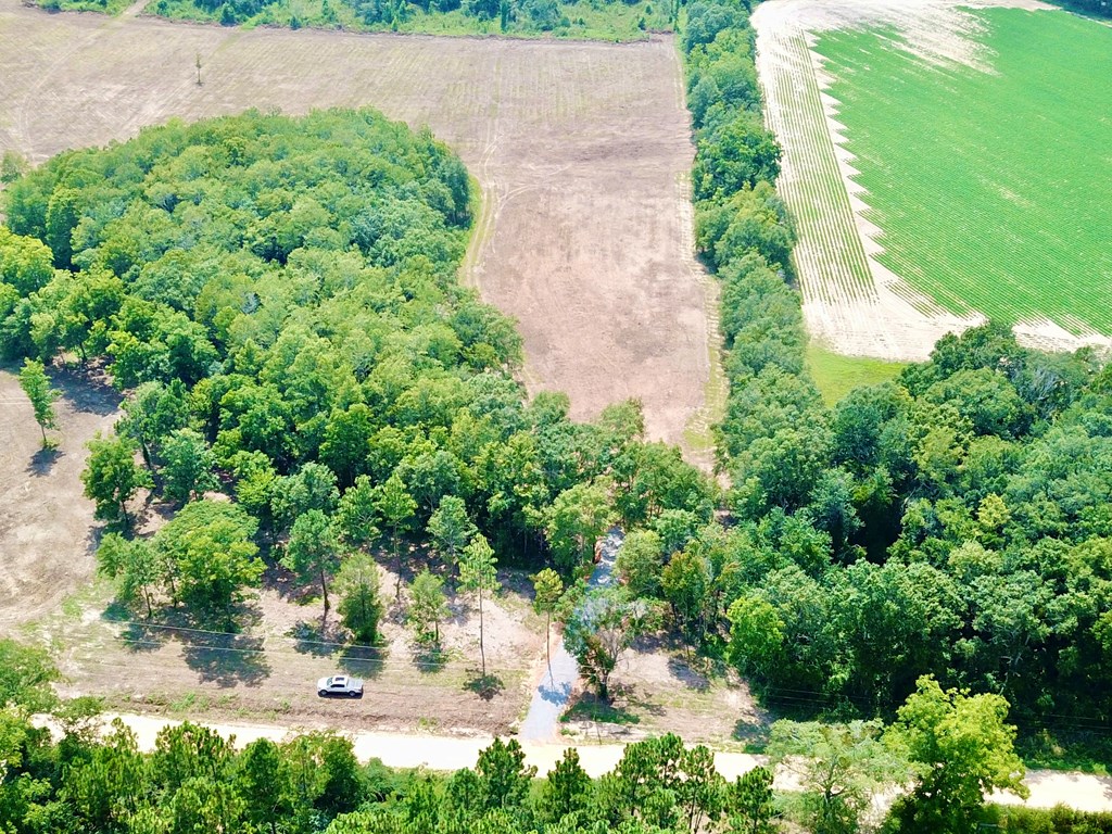 L1 New Hinson Road Slocomb, AL 36375 - Photo 15 of 30
