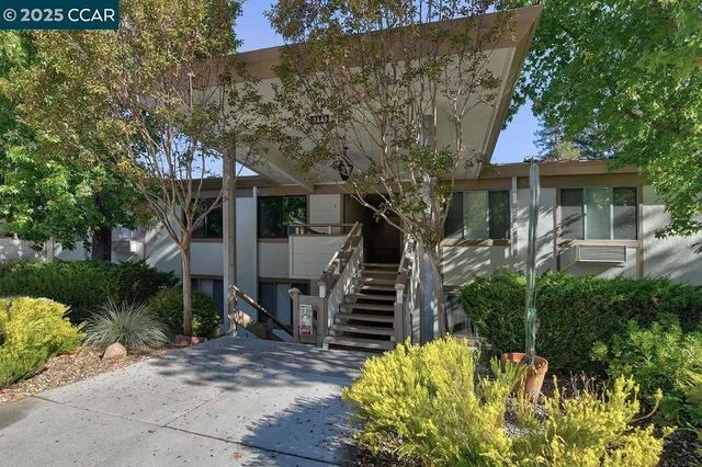 front view of a house with a tree