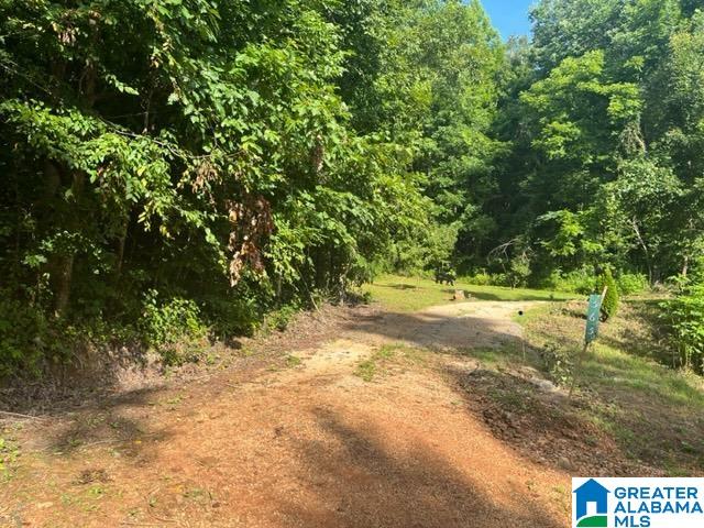 565 Oak Hill Road Talladega, AL 35160 - Photo 5 of 14