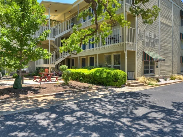 a close up of a tree