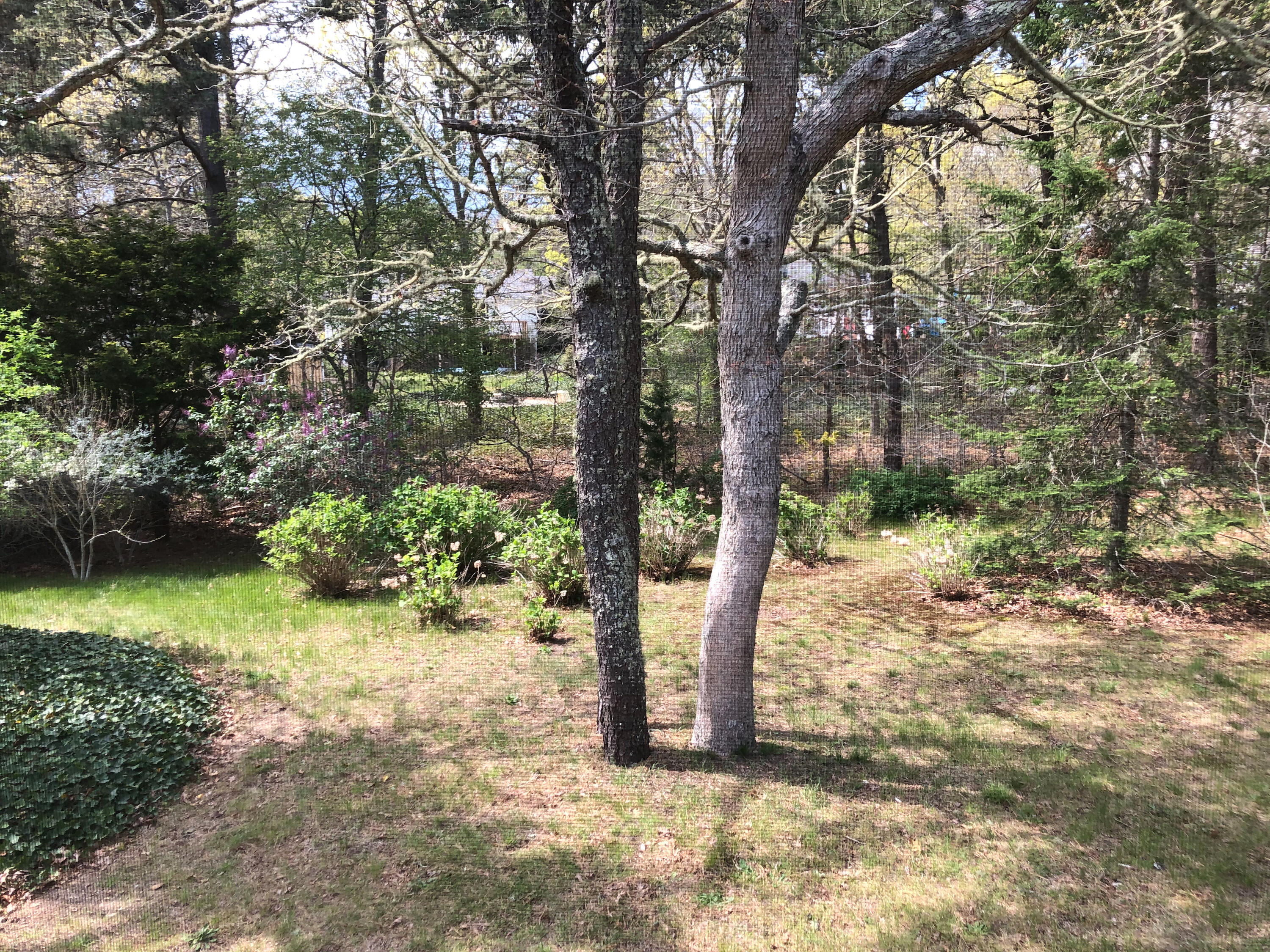47 Sherwood Road Harwich, MA 02645 - Photo 25 of 25 untitled