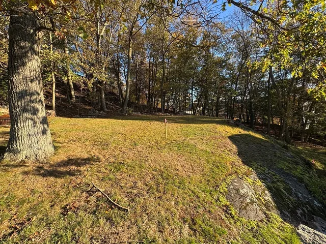 a view of a backyard of the house