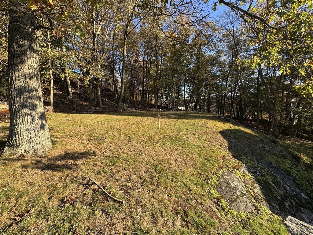 133 Brattle Street, Unit 2 Arlington, MA 02474 - Photo 12 of 15 a view of a yard with large trees