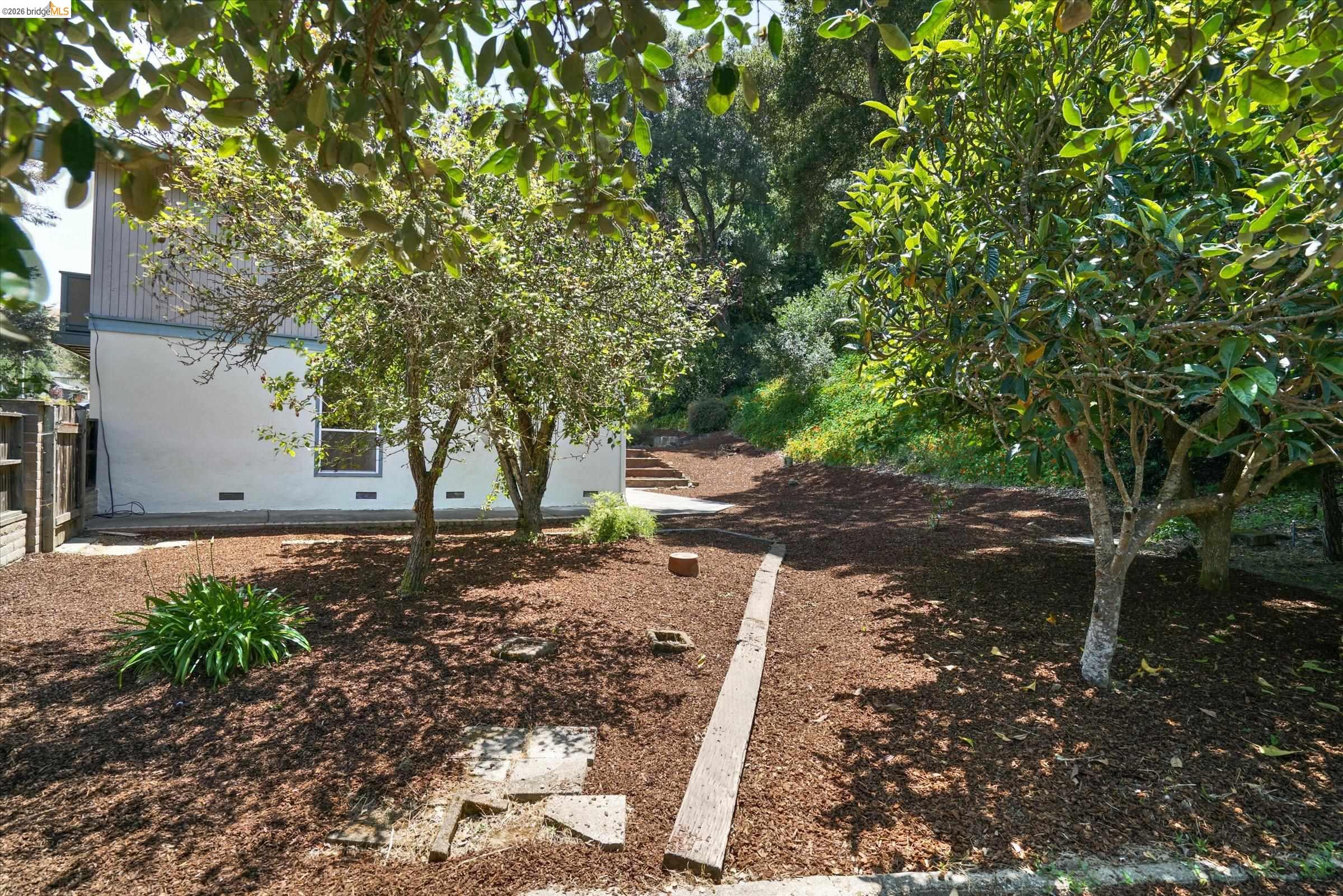 2826 Wright Avenue Pinole, CA 94564 - Photo 54 of 70 Expansive sloped yard featuring terraced landscaping, mature trees, and natural wood chip ground cover