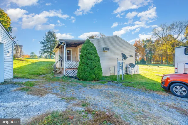 a view of a backyard with large trees and plants