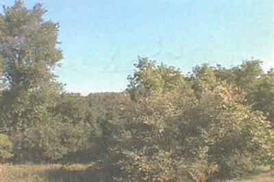 6760 Belding Road Northeast Belding, MI 48809 - Photo 1 of 1 Primary Photo