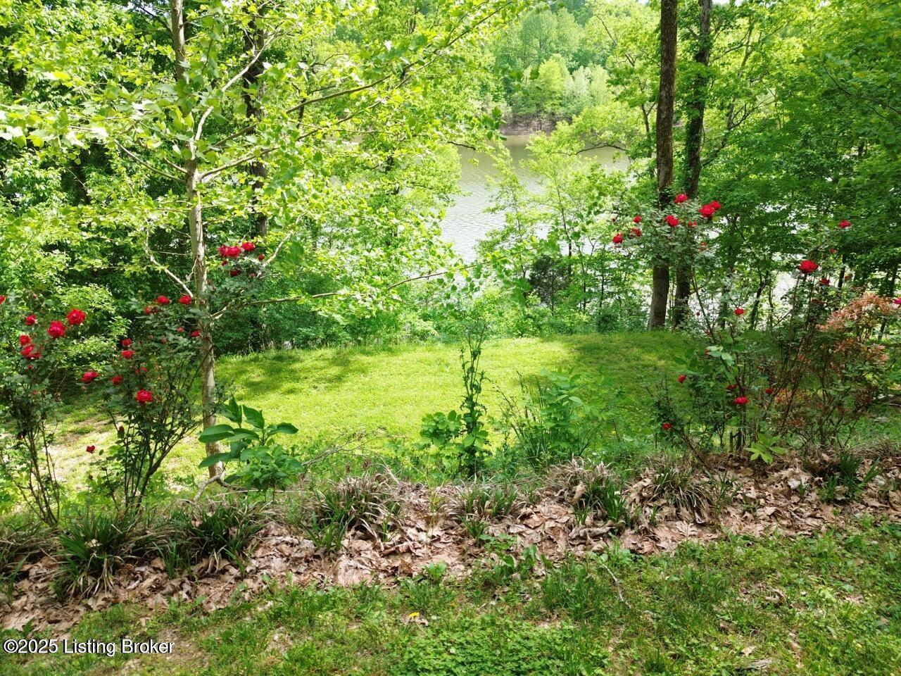 525 North Riverbend Road Leitchfield, KY 42754 - Photo 92 of 96 525-91