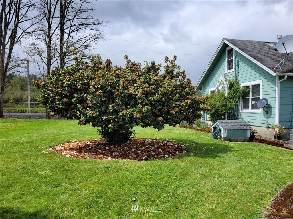 1399 South Bank Road Oakville, WA 98568 - Photo 34 of 40 Gallery Image 34