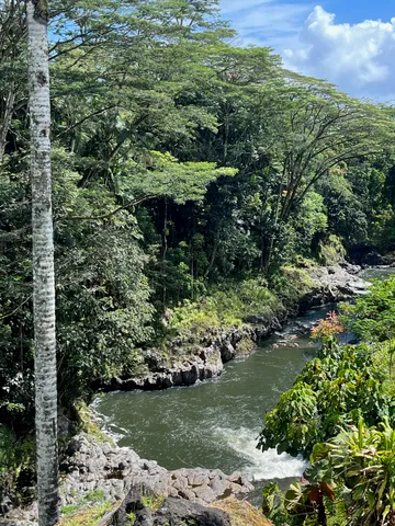 a view of a garden with a lake