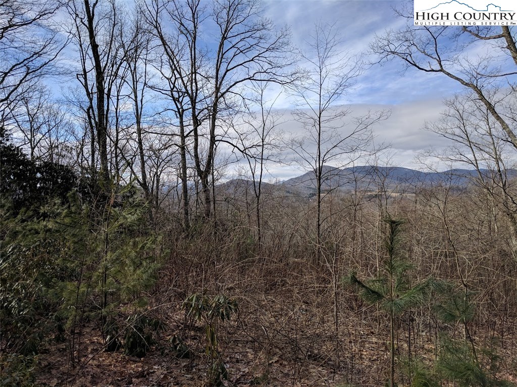 Locust Hill Road Road Boone, NC 28607 - Photo 1 of 5 Gallery Image 1