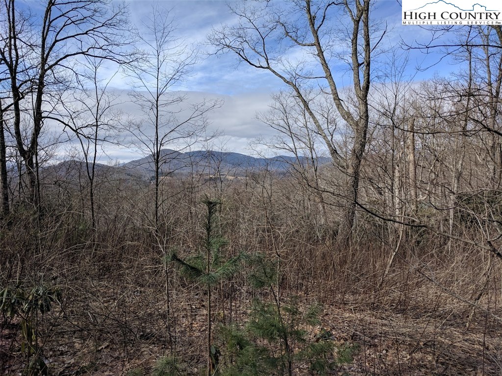 Locust Hill Road Road Boone, NC 28607 - Photo 2 of 5 Gallery Image 2