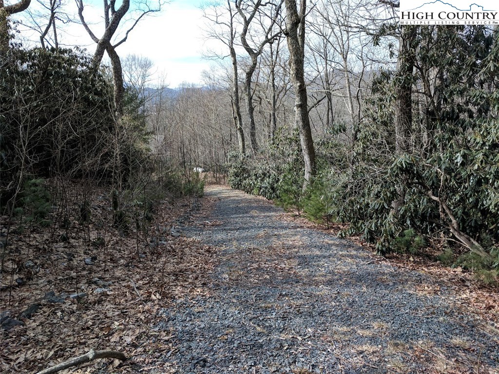 Locust Hill Road Road Boone, NC 28607 - Photo 5 of 5 Gallery Image 5