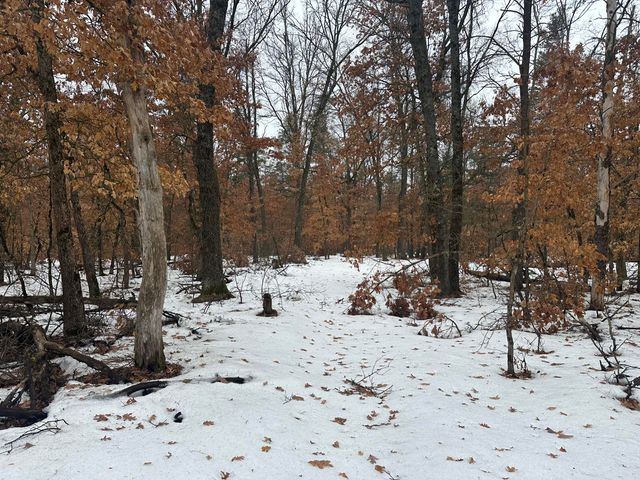 $43,500 | 0 South Stanberry, Baldwin, MI 49304