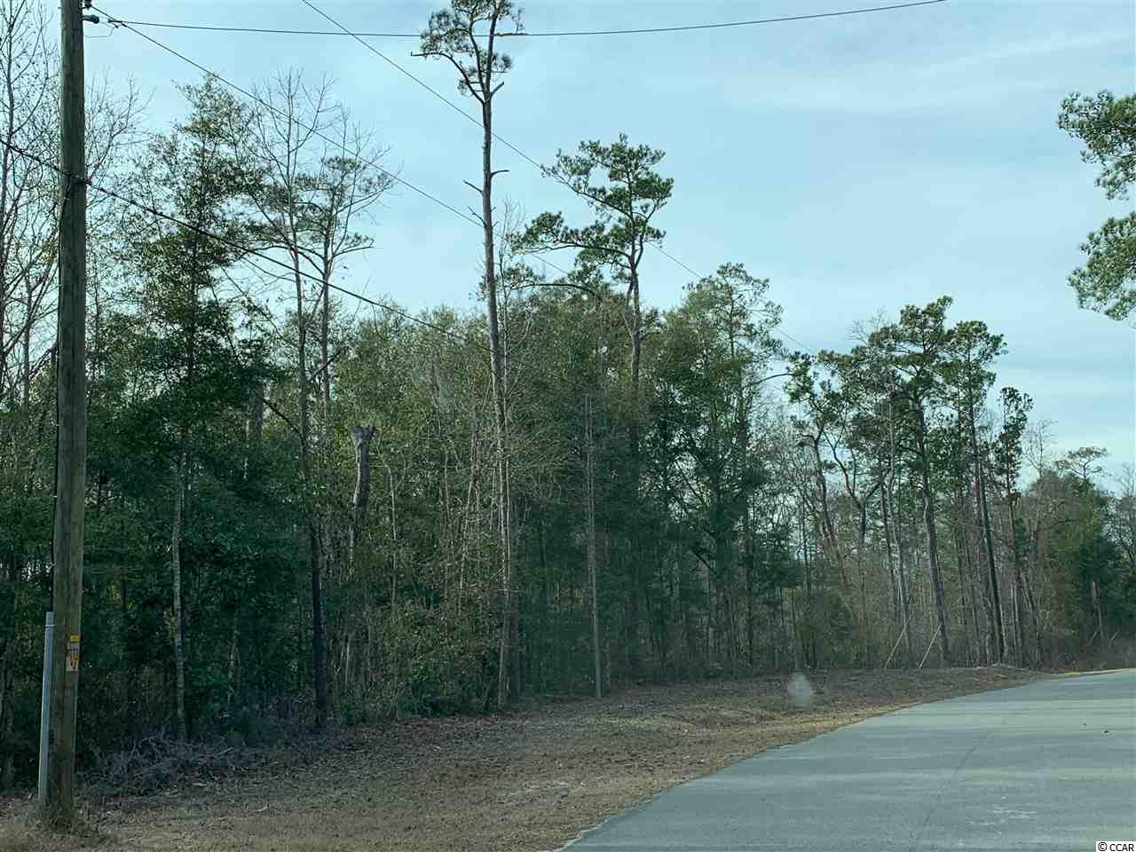 Tbd 83-ac Steep Landing Road Conway, SC 29526 - Photo 1 of 4 Gallery Image 1