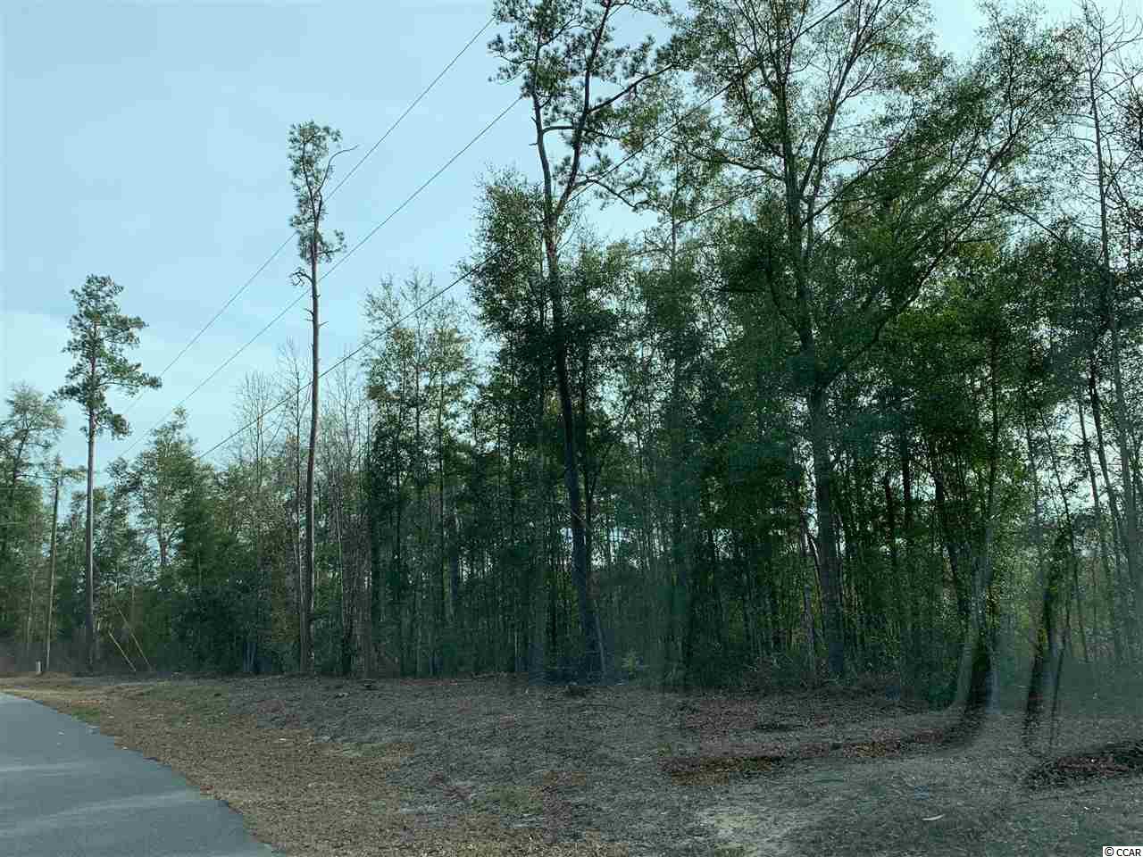 Tbd 83-ac Steep Landing Road Conway, SC 29526 - Photo 3 of 4 Gallery Image 3