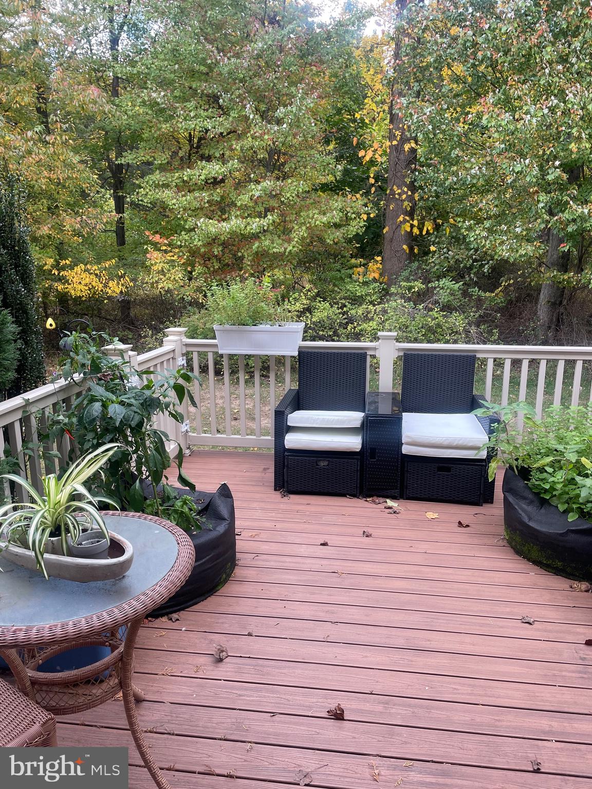 470 Roarks Trail Warminster, PA 18974 - Photo 6 of 21