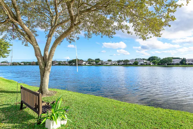 a view of a lake from a yard