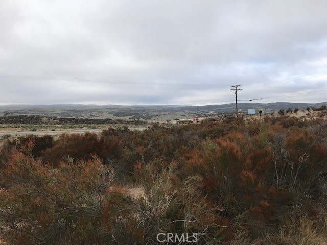 0 Cary Road Anza, CA 92539 - Photo 1 of 1 Gallery Image 1