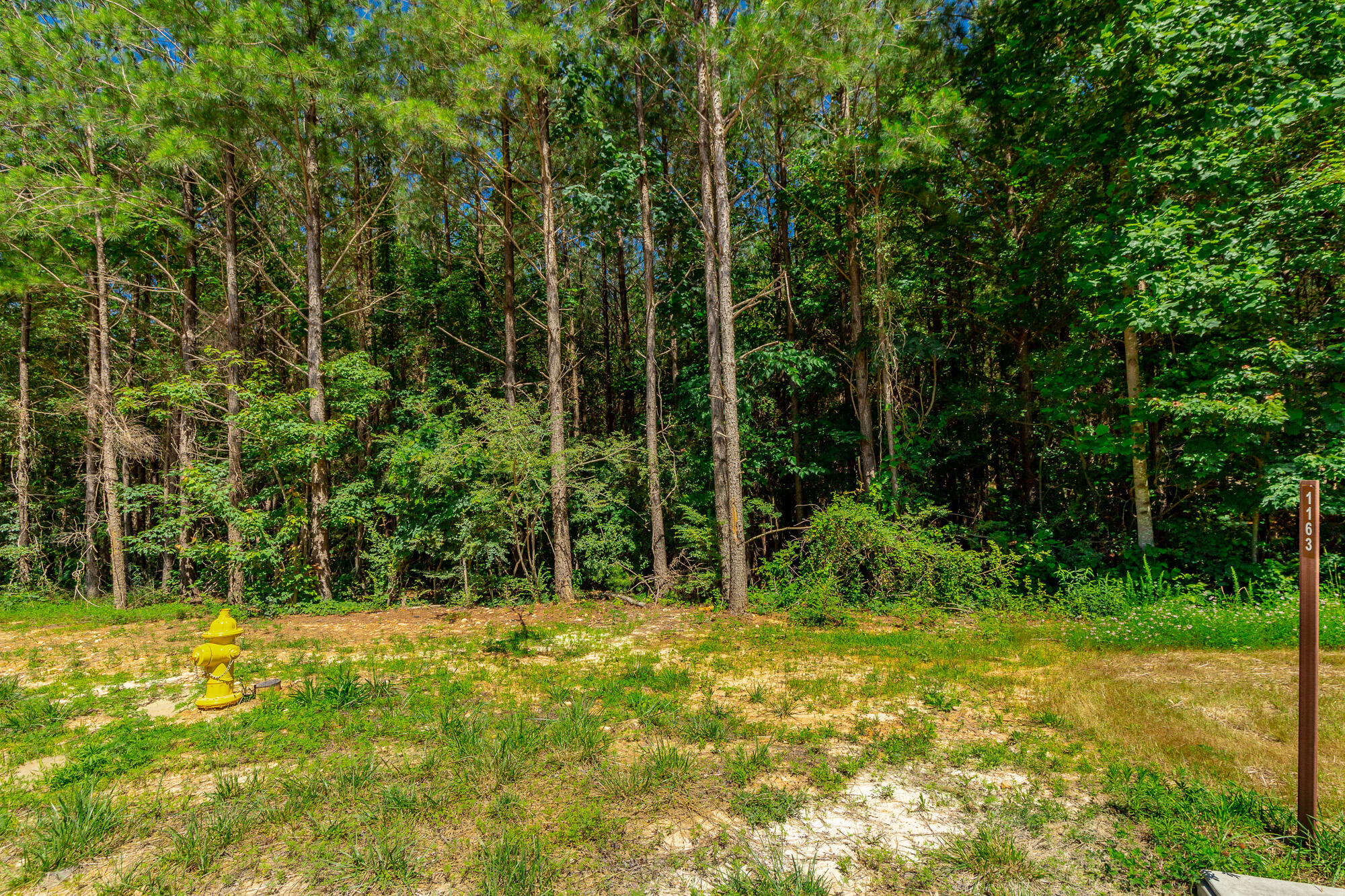 0 Split Rail Way, Unit LOT 1163 Guild, TN 37340 - Photo 15 of 118 River Gorge Lot 1163 HD-10