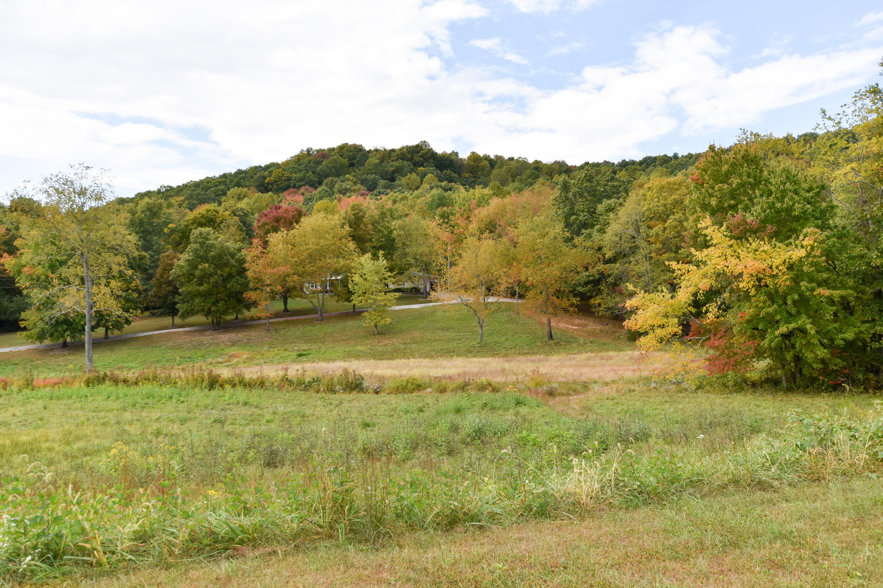 2390 Beechy Creek Road Wallingford, KY 41093 - Photo 86 of 89 DSC_0148