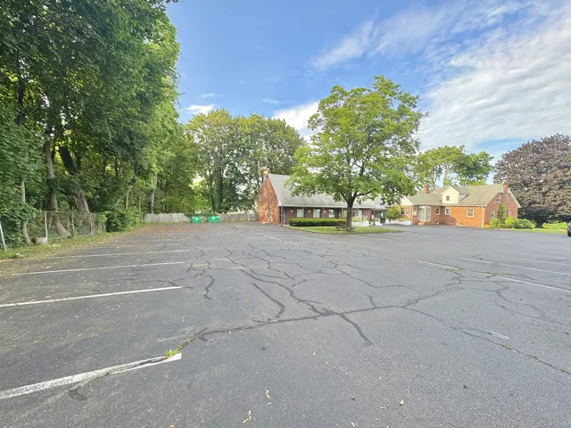 a view of a street with potted plants and big trees