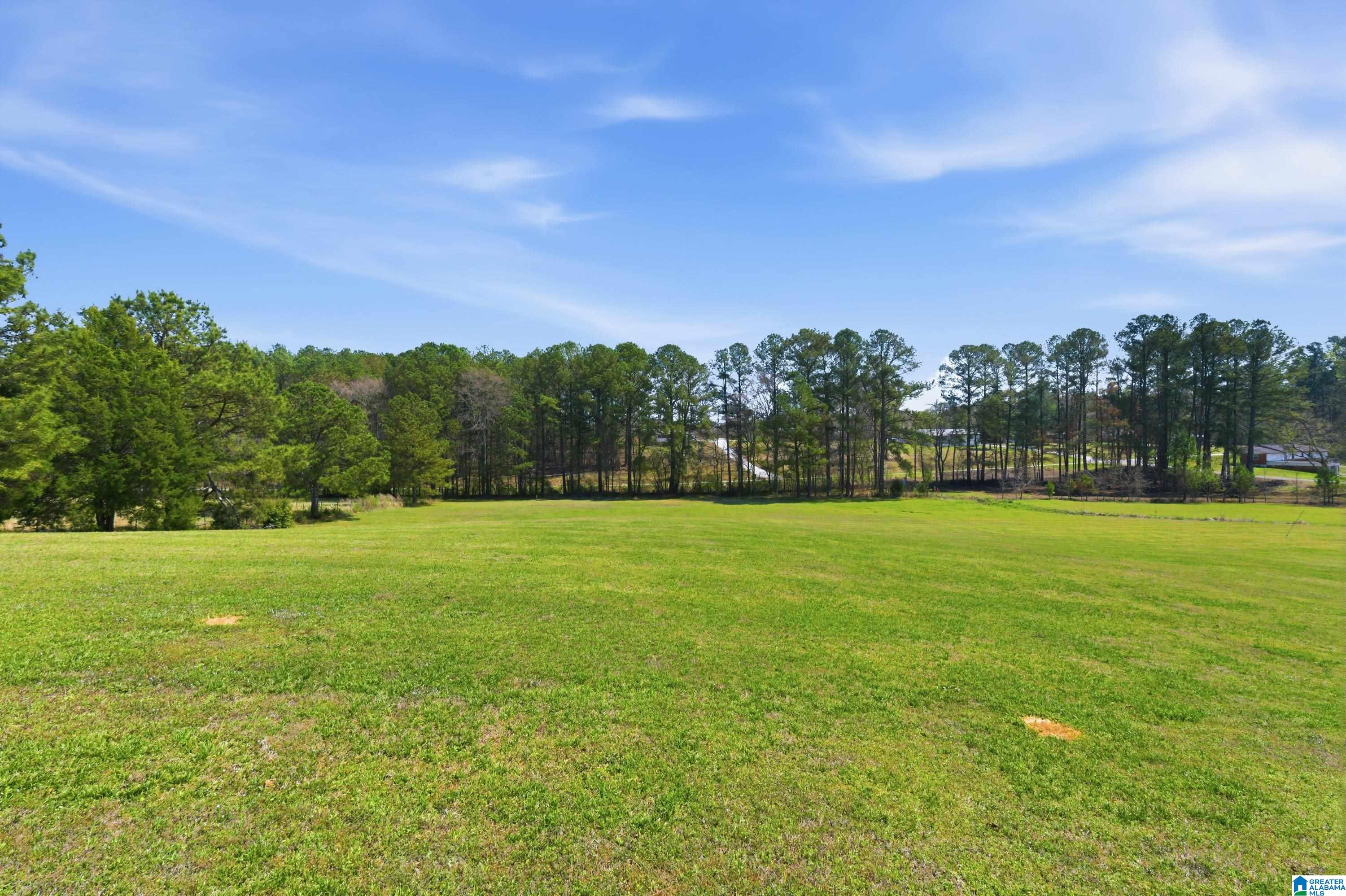 64 Mistletoe Lane Vincent, AL 35178 - Photo 67 of 70