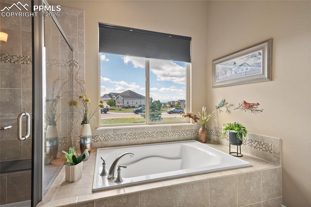 3718 Sky Rim Court Colorado Springs, CO 80908 - Photo 27 of 49