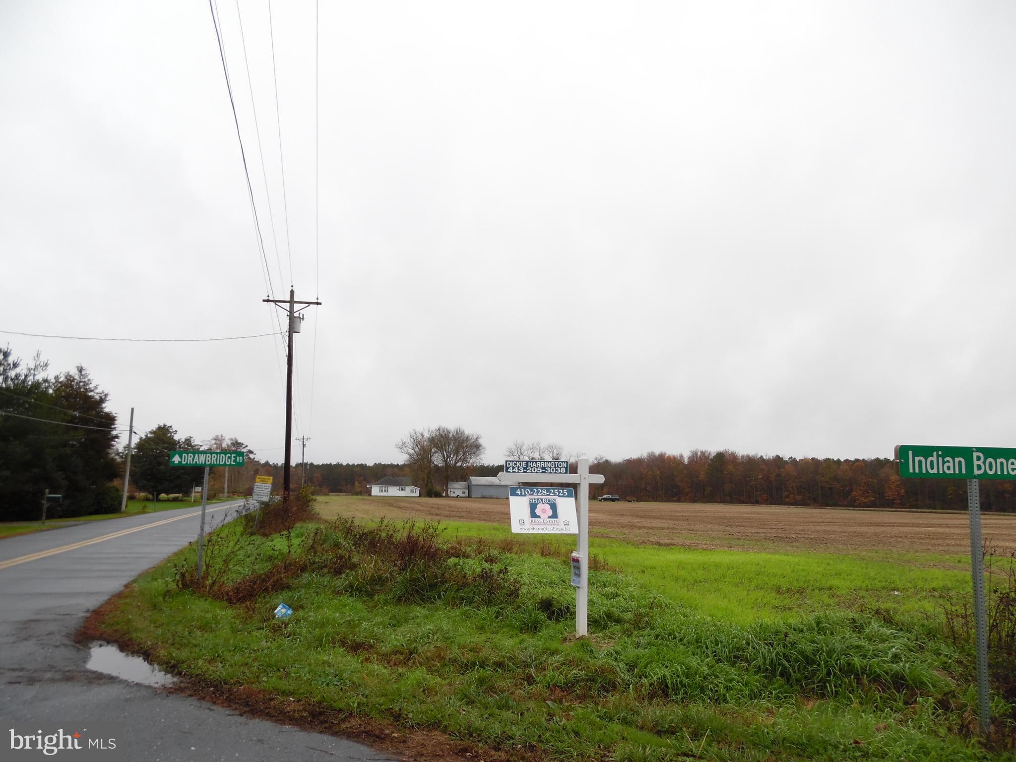 5012 Aireys Road Cambridge, MD 21613 - Photo 2 of 6 Farm on intersection of Aireys and Indian Bone