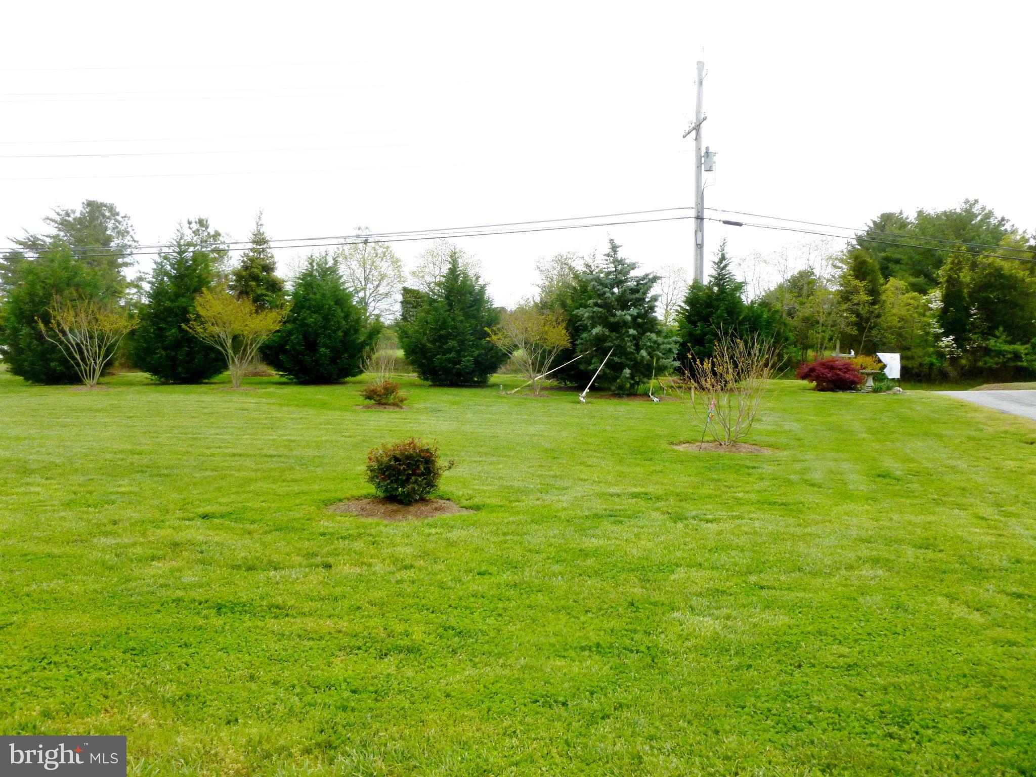 3835 Broomes Island Road Port Republic, MD 20676 - Photo 21 of 30 front yard