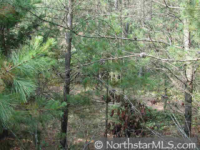 25254 Gile Road Grantsburg, WI 54840 - Photo 1 of 7