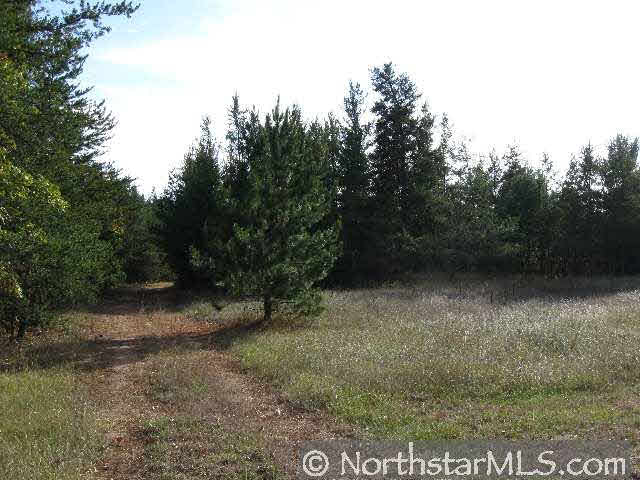25254 Gile Road Grantsburg, WI 54840 - Photo 3 of 7