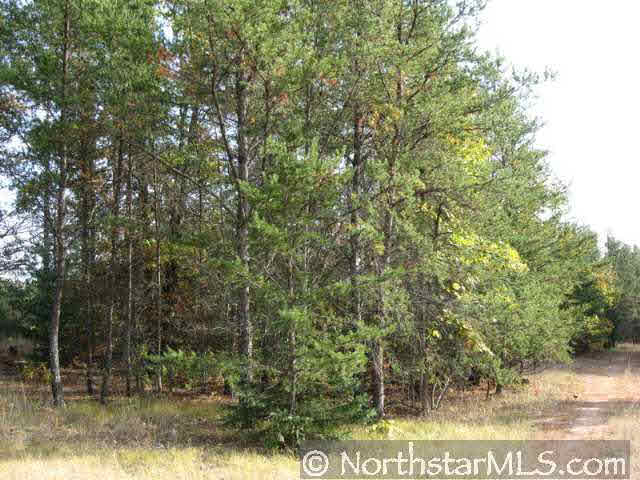 25254 Gile Road Grantsburg, WI 54840 - Photo 4 of 7