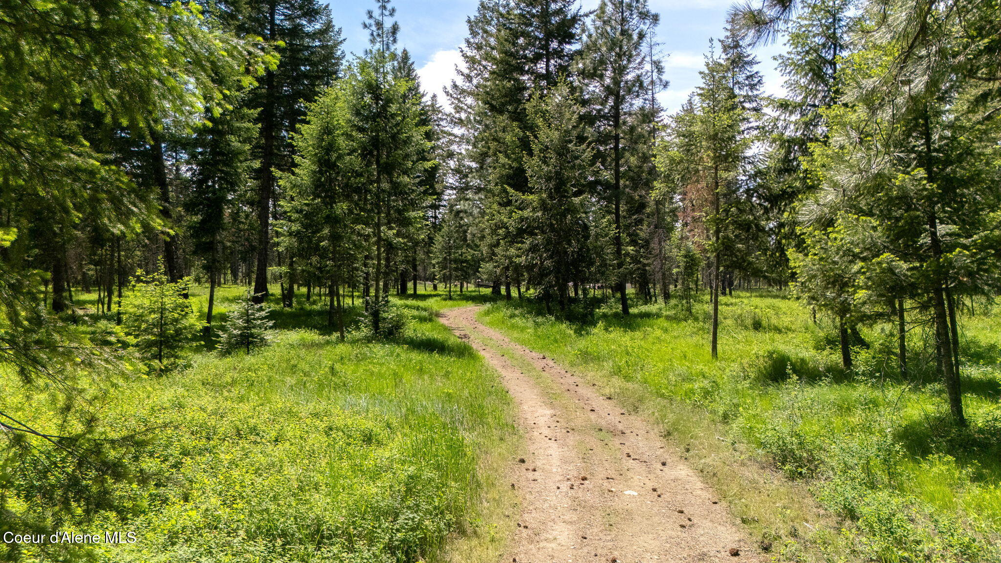24805 North Cedar Mountain Road Athol, ID 83801 - Photo 60 of 82 Trail around property
