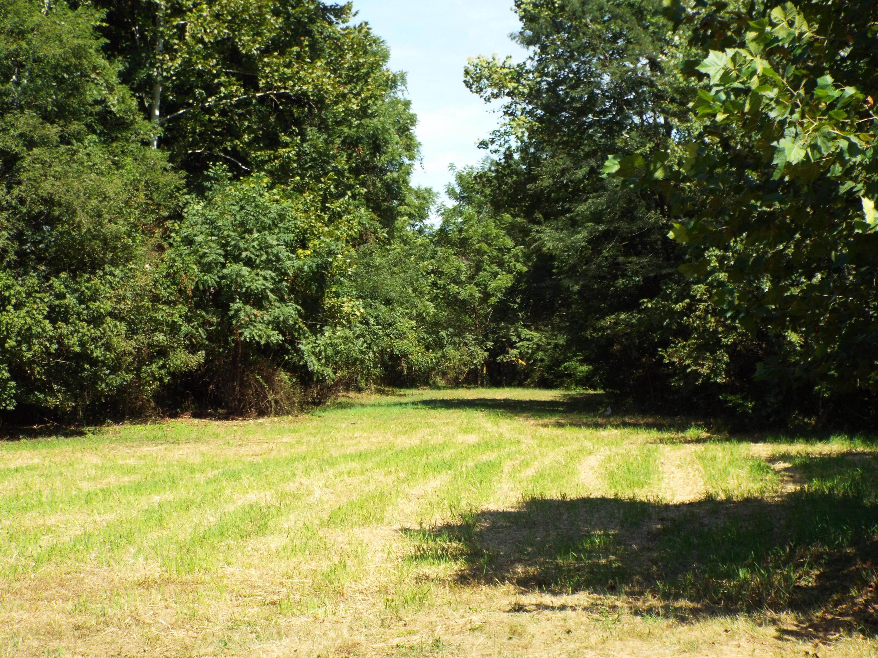 17687 Laurel Run Road Nelsonville, OH 45764 - Photo 9 of 20 Land