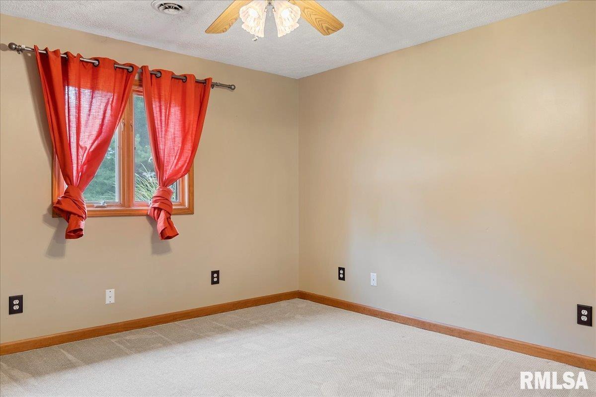 421 North Walnut Street Rochester, IL 62563 - Photo 21 of 33